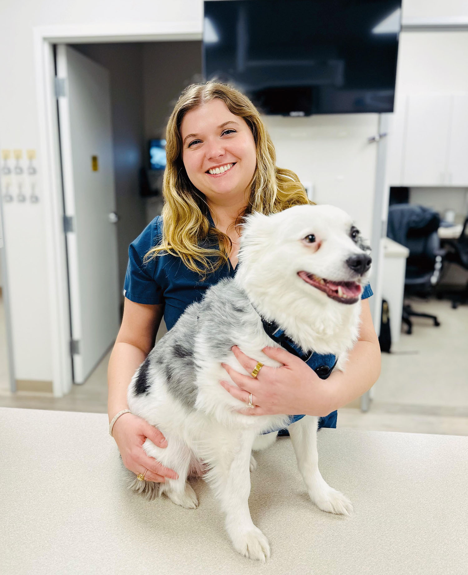 Dr. Bezner best holistic Dallas wellness vet