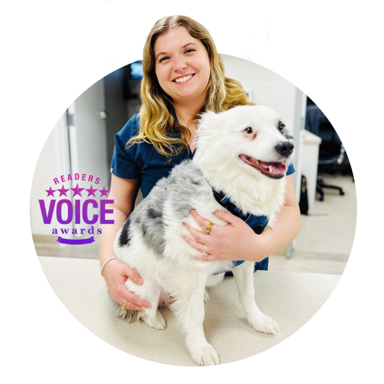 Best Vet in Addison